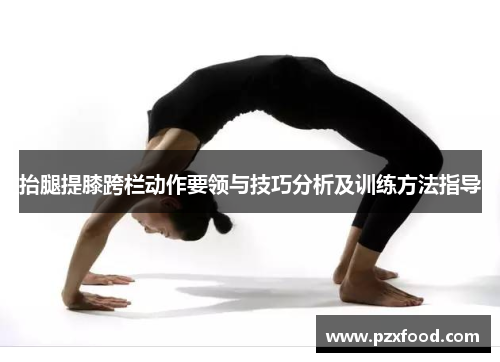 抬腿提膝跨栏动作要领与技巧分析及训练方法指导