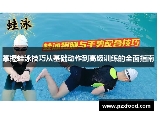 掌握蛙泳技巧从基础动作到高级训练的全面指南