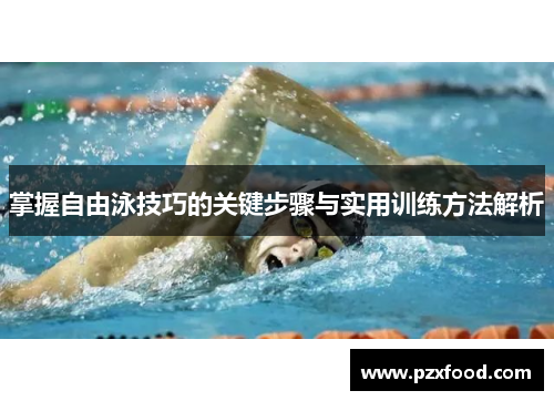 掌握自由泳技巧的关键步骤与实用训练方法解析