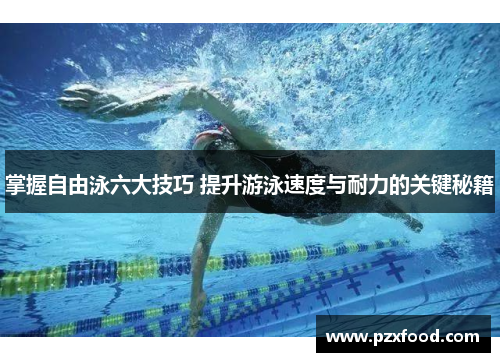 掌握自由泳六大技巧 提升游泳速度与耐力的关键秘籍