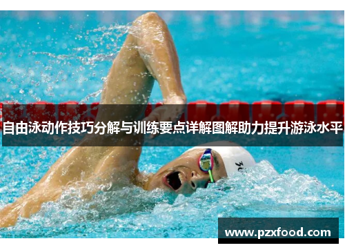 自由泳动作技巧分解与训练要点详解图解助力提升游泳水平