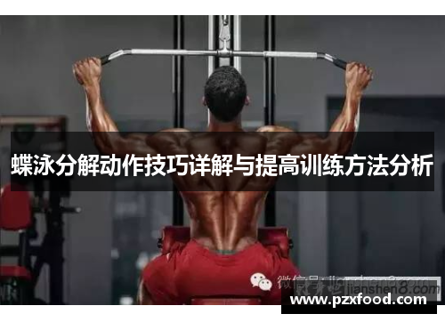 蝶泳分解动作技巧详解与提高训练方法分析