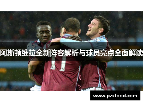 阿斯顿维拉全新阵容解析与球员亮点全面解读
